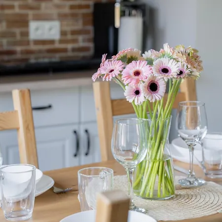 Apartment Jodlowa Z Widokiem Na Gory - Dream