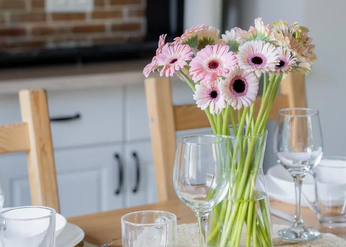 Apartment Jodlowa Z Widokiem Na Gory - Dream